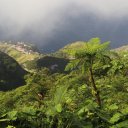 saba-island-caribbean-11_0