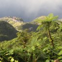 saba-island-caribbean-12_0