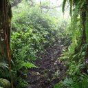 saba-island-caribbean-15