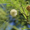 saint-martin-french-5