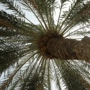 Saudi-Arabia-Dammam-13