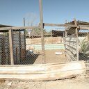 Tarout-Island-Saudi-Arabia-12