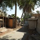 Tarout-Island-Saudi-Arabia-13