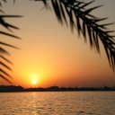 Tarout-Island-Saudi-Arabia-26