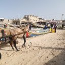 dakar-senegal-28