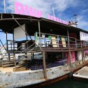 pink-iguana-sint-maarten-1