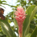 solomon-islands-guadalcanal-2