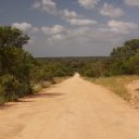 Open dirt road in Kruger National Park