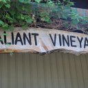 vermillion-sioux-falls-south-dakoka-valiant-vineyards-10