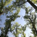 vermillion-sioux-falls-south-dakoka-valiant-vineyards-5