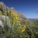 spain-barcelona-montserrat-29
