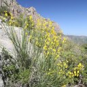 spain-barcelona-montserrat-30