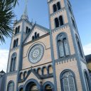 suriname-paramaribo-jungle-6