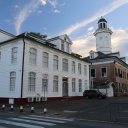 suriname-paramaribo-jungle-7