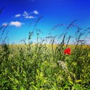 Postcard reality? Yes - taken in Skane