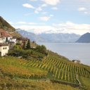 Switzerland-Clos-de-la-Republique-Fonjallaz-Patrick