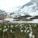 Switzerland-Europe-2