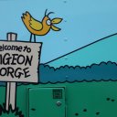 memphis-great-smoky-mountains-12