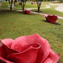 hall-park-3