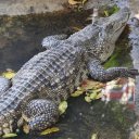 beautiful-bangkok-thailand-24