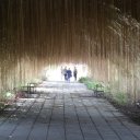 eastern-thailand-islands-khao-yai-12