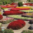 eastern-thailand-islands-khao-yai-17