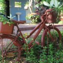 eastern-thailand-islands-khao-yai-8