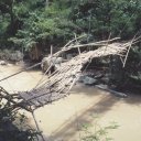Bamboo-Bridge-Chiang-Mai