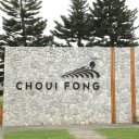 Chiang-Rai-Tea-Plantation-3