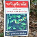 Chiang-Rai-Thailand-White-Temple-Khun-Korn-Waterfall-21