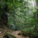 Chiang-Rai-Thailand-White-Temple-Khun-Korn-Waterfall-22