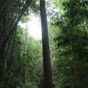 Chiang-Rai-Thailand-White-Temple-Khun-Korn-Waterfall-23