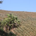 Chiang-Rai-Thailand-White-Temple-Khun-Korn-Waterfall-30