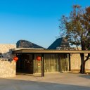 Tea-Plantation-Chiang-Rai