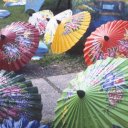 Umbrellas-Chiang-Mai
