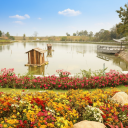 be14b98e-876b-4269-9d74-a59d02cf1db0