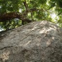 Koh-Tao-Thailand-5