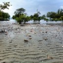 Tides out, Ko Yao Noi