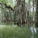 phang-nga-ta-chai-island-surin-11