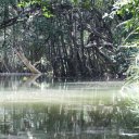phang-nga-ta-chai-island-surin-12