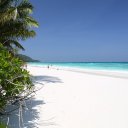 phang-nga-ta-chai-island-surin-2