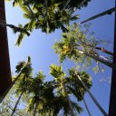 phulay-bay-krabi-thailand-5