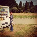 Vending machine, Farm Japan