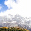 autumnal-trees-on-mountain