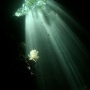 The Passage under water, Raja Ampat