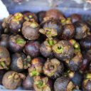 mangosteens