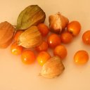 Cape-Gooseberry