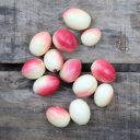 bengal-currant