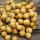 burmese-grape