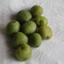 kiwi-berry-new-zealand